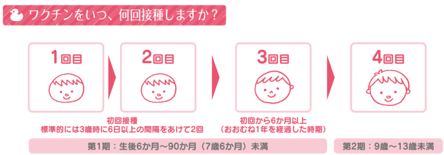 日本脳炎ワクチン接種スケジュール
