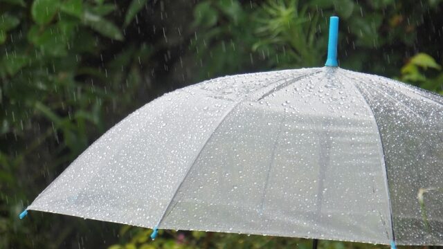 雨