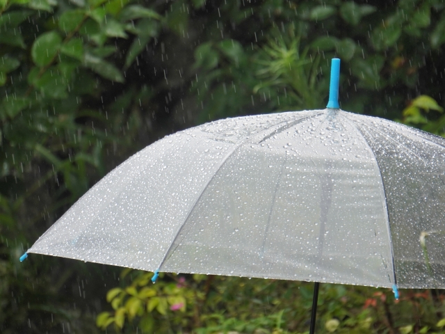 雨